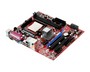 601-7597-040   MSI GF615M-P33 S-AM3 GeForce6150SE/430 VGA 2xDDR3-1333-2ch PCI-Ex16 2.0 6ch 4xSATA2 GbLan mATX