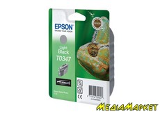 C13T034740  Epson SP2100 grey